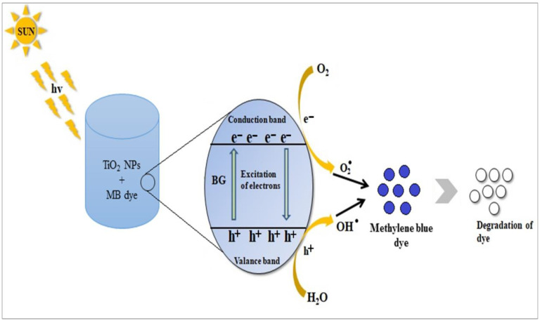 The method of photocatalytic degradation of MB under continuous solar irradiation is depicted in this diagram.