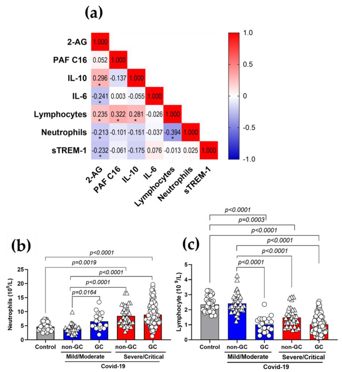 Correlations of 2-AG and PAF C16 with inflammatory markers of COVID-19 patients. (a) Correlation matrix demonstrating interactions between levels of 2-AG, PAF (16:0) and the inflammatory parameters, IL-10, IL-6, sTREM-1, lymphocytes and neutrophil counts. Color scale sidebar indicates correlation coefficients (r), color-coded: red, positive correlation; blue, negative correlation; the intensity of the color represents the intensity of the correlation. Values adjust between −1.0 and 1.0. The significance levels indicated with gray asterisks are based on the p < 0.05 of the Spearman’s correlation coefficient (r ) *. (b) Absolute values of neutrophils and (c) lymphocytes in patients GC-treated or not with COVID-19 mild/moderate (non-GC, n = 35 vs. GC, n = 20) and severe/critical (non-GC, n = 42 vs. GC, n = 103). Statistical analyses were performed using the Kruskal–Wallis multiple comparison test (non-parametric), followed by Dunn’s post-test. Data are expressed as median in boxplot graphs with minimum and maximum values with a confidence interval of +/−95%. Significance levels shown are based on statistically significant p < 0.05 between groups.