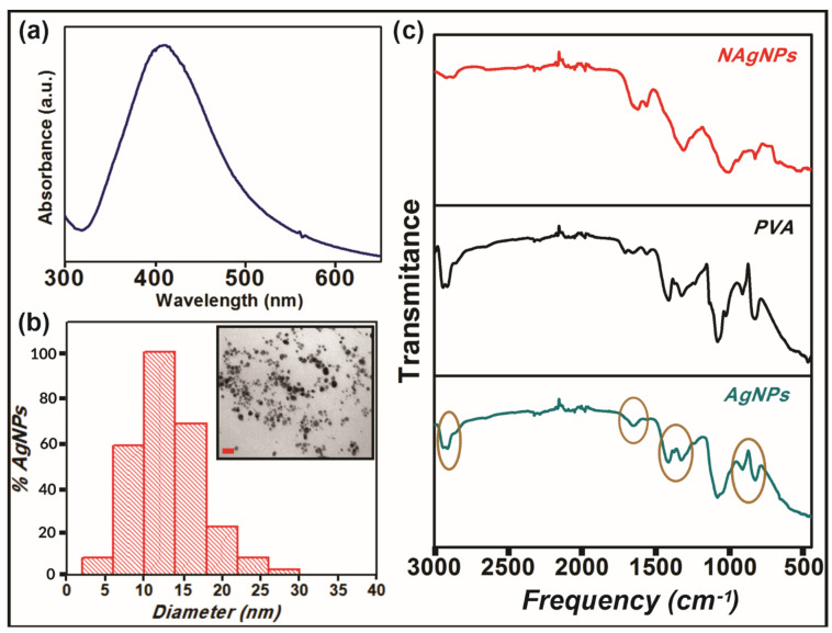 Characterization of silver nanoparticles (AgNPs). (a) The plasmon of AgNPs was measured by UV–vis spectroscopy. (b) Size distribution and TEM image (inset) of AgNPs. Scale bar represents 50 nm. (c) FTIR spectra of nude (NAgNPs, red) and modified (AgNPs, blue) silver nanoparticles and PVA (black).
