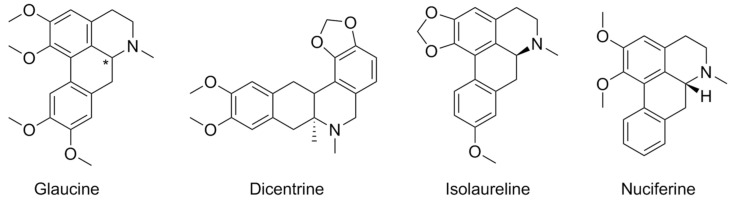 Chemical structures of aporphines glaucine, dicentrine, isolaureline, and nuciferine.