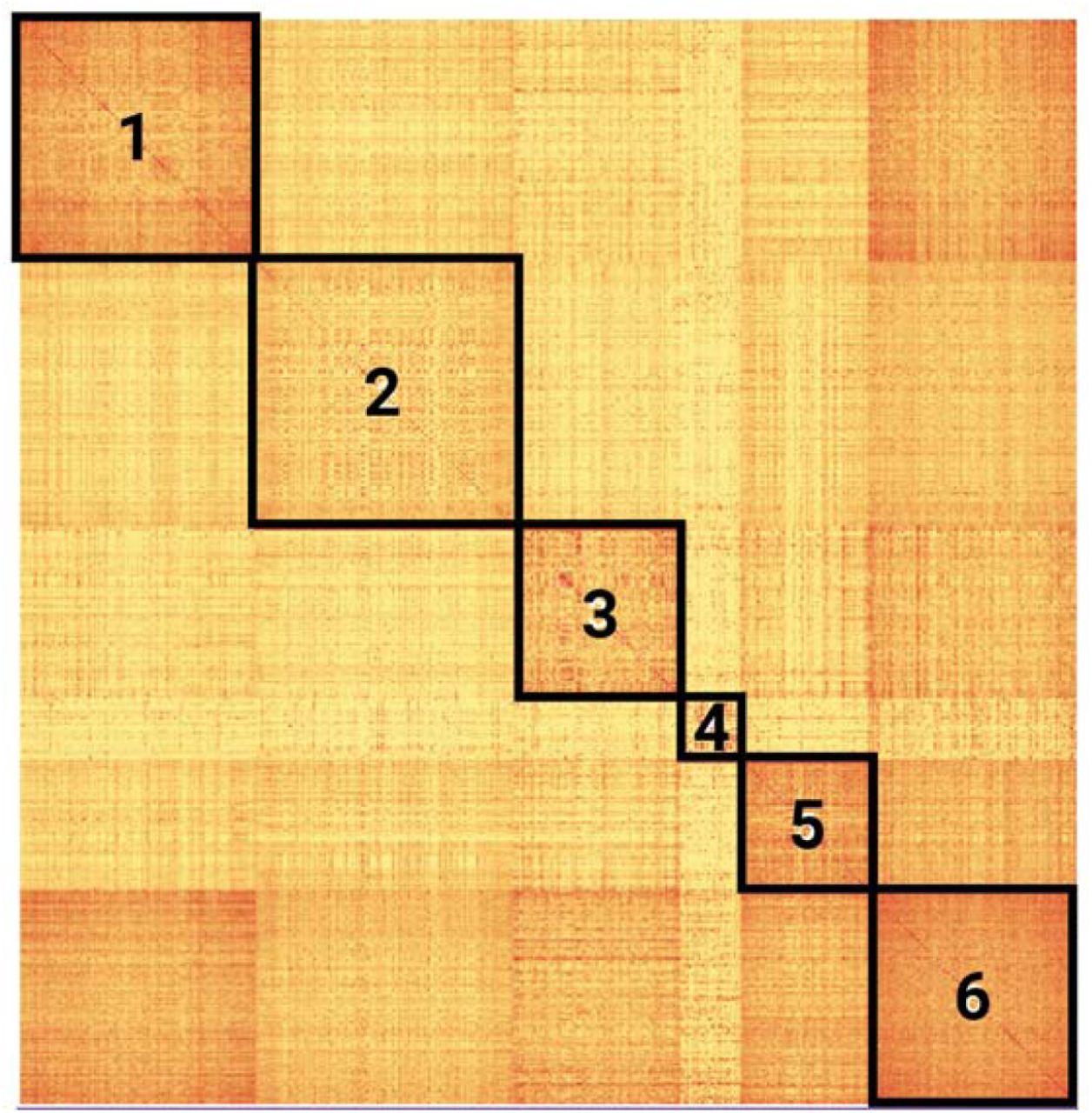 Patient similarity matrix illustrating long COVID subtypes in data partner 1.A heatmap representing the 6 clusters created by k-means clustering is shown. Cluster hierarchy was calculated using the nearest point algorithm and Euclidean distance.