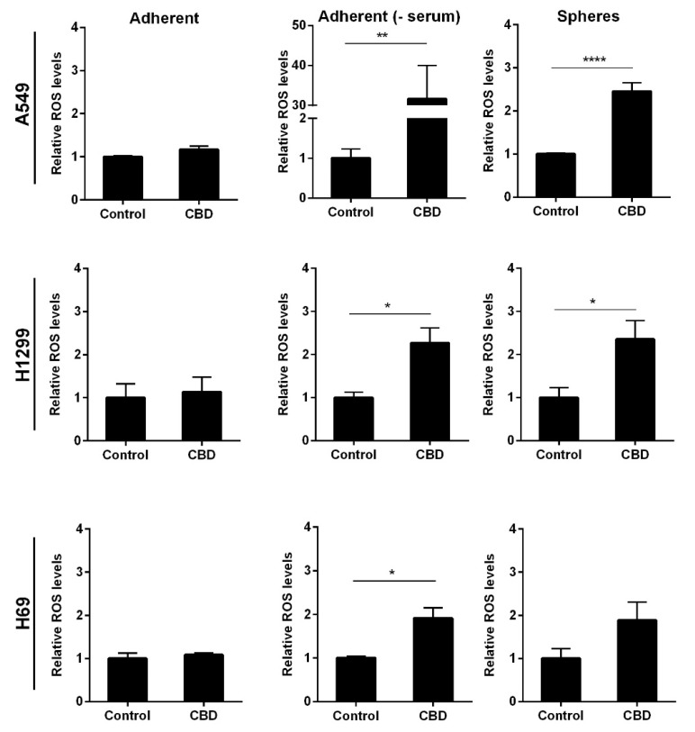 CBD increases the levels of ROS. Adherent cells in the presence, absence, or spheres were incubated with 10 µM CBD for 24 h. The levels of superoxide radicals were evaluated using luminescence and presented as relative ROS levels compared to control cells ± SD of three independent experiments. * p < 0.05, ** p < 0.01; **** p < 0.0001 compared to control cells as determined by t test.