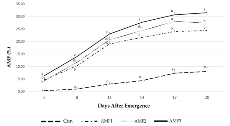 Percentage of AMF colonization derived from the three different treatments of AMF, 20 days after the emergence of the seedlings. F-test ratios are from ANOVA. Different letters (a, b, and c) over each curve indicate significant differences according to Tukey’s test (p < 0.05).
