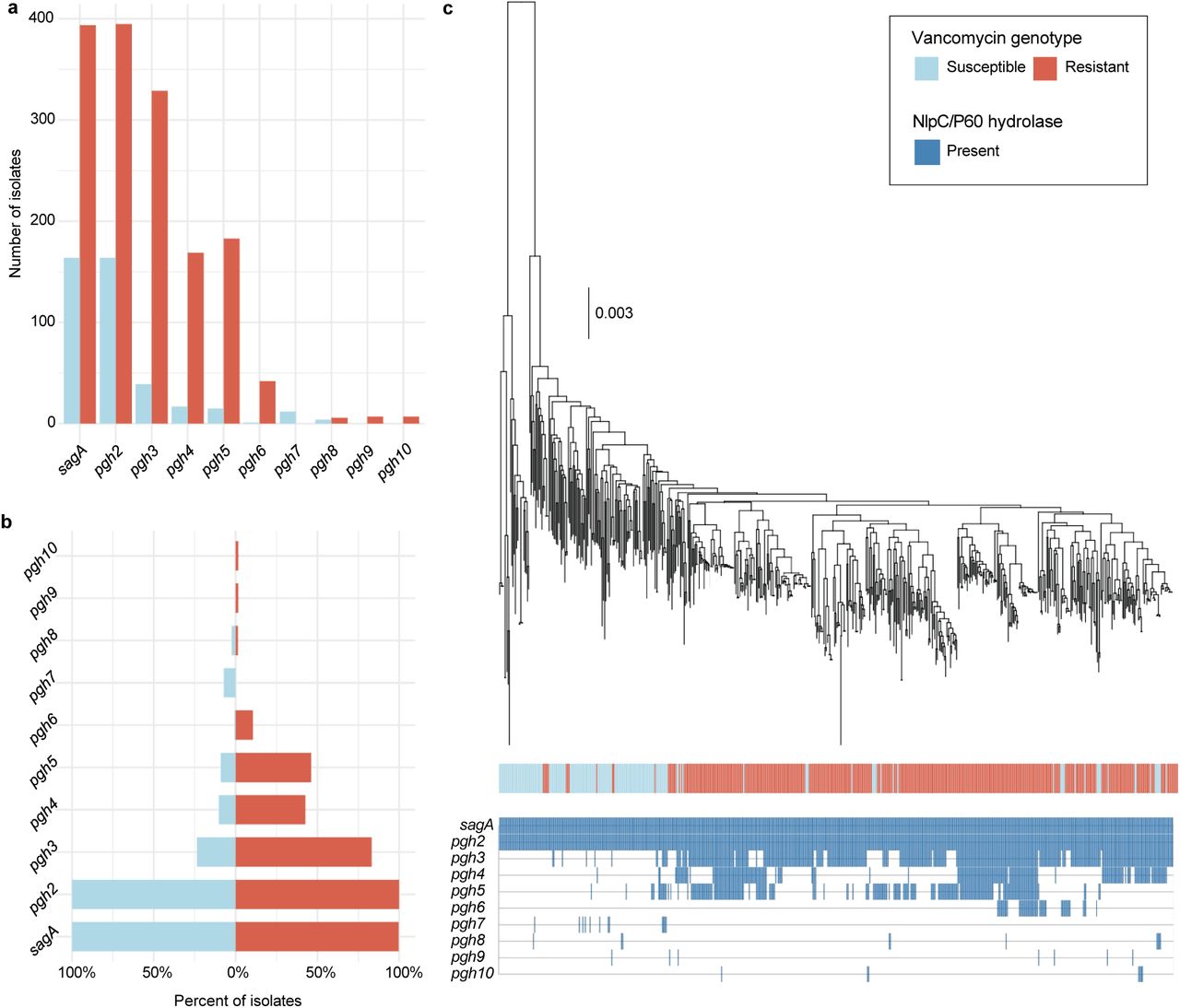 Phylogenetic analysis of NlpC/P60 hydrolases present in E. faecium.a, Identification of NlpC/P60 hydrolases present in E. faecium, labelled as sagA and peptidoglycan hydrolase (pgh) 2-10. b, Prevalence of the NlpC/P60 hydrolases in vancomycin-susceptible or - resistant E. faecium, shown as a percentage of isolates. Bars are colored by vancomycin genotype. c, Maximum-likelihood phylogenetic tree built of E. faecium (n=599) from the Panaroo core genome alignment. Overlaid is the vancomycin genotype (resistant defined as the presence of a van operon) and presence or absence of different NlpC/P60 hydrolases.