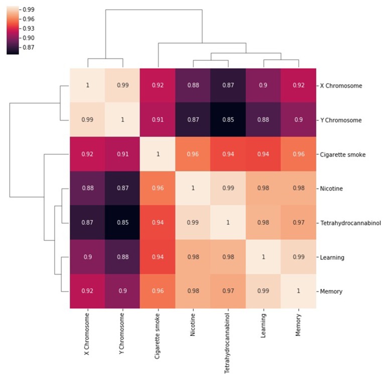A heatmap of the correlation between the number of metapaths for a given source node with respect to pairs of target nodes. The number of metapaths to the X chromosome target correlates with the number of metapaths to the Y chromosome target, but less so with the other targets. Similar relationships can be seen between nicotine and THC and between learning and memory. Correlations remain generally high because entities that are well researched are likely to be highly connected in general.