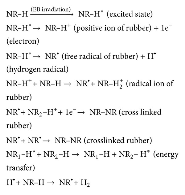 Mechanism for the radiation crosslinking of NR.