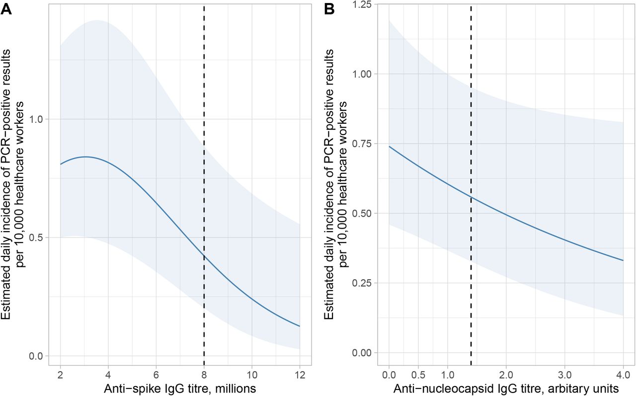 Estimated daily incidence by baseline anti-trimeric spike and anti-nucleocapsid spike IgG antibody titre.Panel A shows the estimated daily incidence per 10,000 healthcare workers, by anti-trimeric spike IgG titre (Oxford immunoassay, p-value vs no trend = 0.013), using a 3 knot spline (number of knots chosen using the Akaike information criterion [AIC]). Panel B shows the estimated daily incidence per 10,000 healthcare workers by anti-nucleocapsid IgG titre (Abbott SARS-CoV-2 IgG assay; p=0.08), linear model plotted as lowest AIC. The models used in both panels adjust for age (set at the median age, 38 years), gender (set as female) and calendar month (set as October 2020). The light blue ribbon shows the 95% confidence interval, and the vertical dotted line indicates the assay positive cut-off.