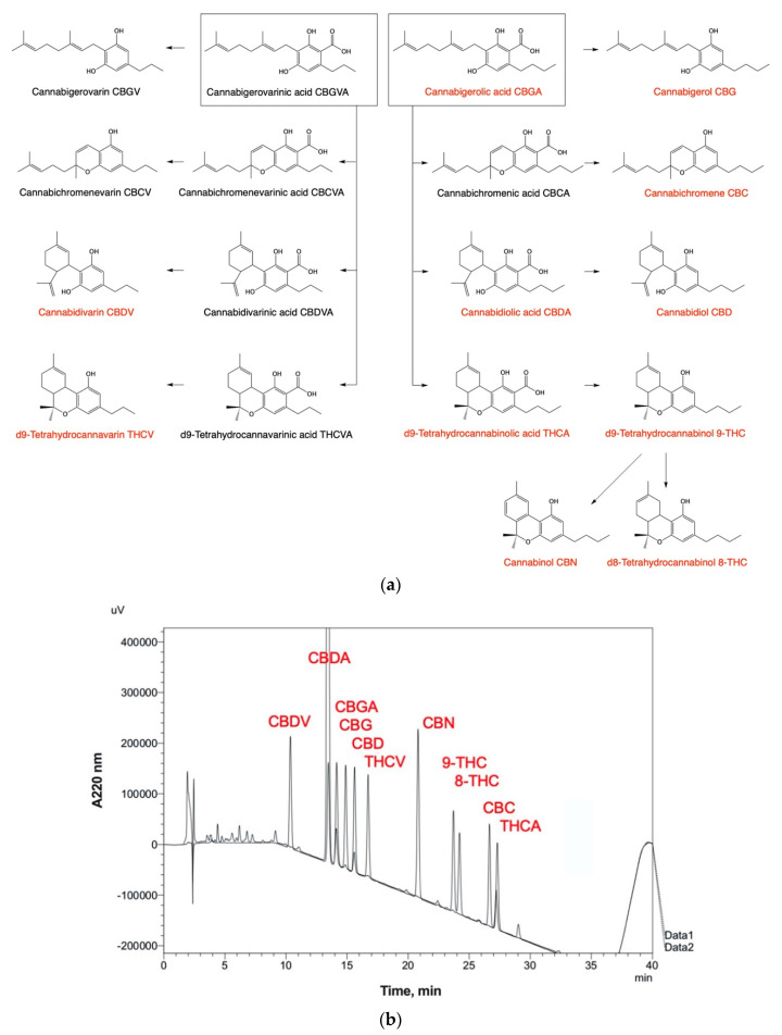 Major biosynthetic routes and cannabinoid metabolites found in Cannabis sativa tissues and botanical extracts. (a) The corresponding decarboxylation products are formed during collection, storage, and thermal processing of plant tissues. (b) HPLC-UV detection and full baseline resolution of 11 major cannabinoids using Shimadzu Prominence LC-2030C workflow as outlined in Table 1.