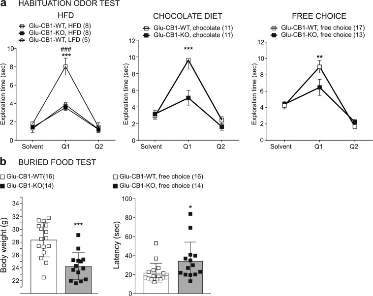 Glu-CB1-KO mice exhibited reduced odor perception and food-seeking behavior.a Habituation odor test in Glu-CB1-WT and Glu-CB1-KO mice fed with different diet regimens: LFD or HFD; chocolate-flavored pellets; free-choice paradigm. Q1 refers to the first exposure to the odor and Q2 refers to the second exposure. Bonferroni post hoc test following two-way ANOVA, ###p < 0.001 LFD/Glu-CB1-WT vs HFD/Glu-CB1-WT; **p < 0.01, ***p < 0.001 Glu-CB1-WT vs Glu-CB1-KO. b Buried food test, body weight, and the latency to find the chocolate pellet in Glu-CB1-WT (n = 16) and Glu-CB1-KO (n = 14) mice fed using the free-choice paradigm. Unpaired two-tailed Student’s t-test, *p < 0.05, ***p < 0.001 free choice/Glu-CB1-KO vs free choice/Glu-CB1-WT. Data are expressed as mean ± SEM.