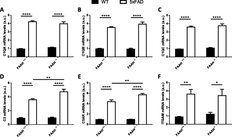 FAAH deletion enhances the expression of C3 and C3AR in 5xFAD mice. A–C Expression levels of complement C1QA (A), C1QB (B), C1QC (C), from hippocampal extracts after RT-qPCR. D–F Messenger RNA levels of complement component C3 (D) and its receptors C3AR (E) and ITGAM (F), obtained from hippocampal extracts after RT-qPCR. Two-way ANOVA followed by Tukey’s test (*p < 0.05, **p < 0.01, ****p < 0.0001) (n = 6–8 animals in each group). Graphs represent mean ± s.e.m