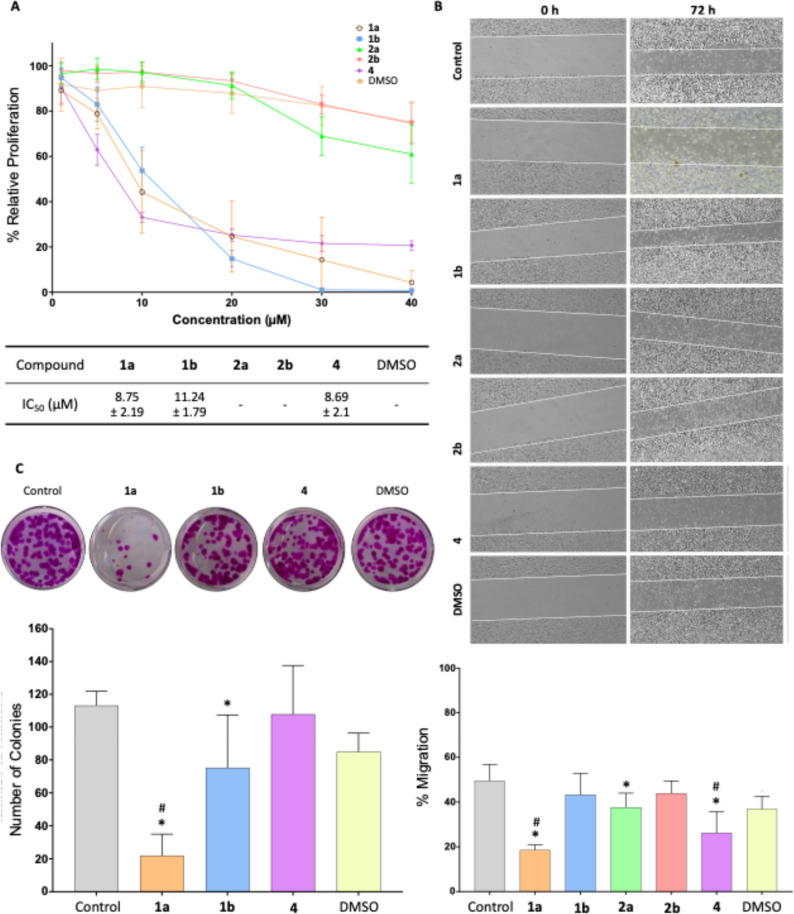 Graphic representation of the relative proliferation (%RP) of the compounds 1a,b, 2a,b and 4 in concentrations of 1–40 µM at 72 h exposure (A). Image representation of cell migration after 72 h treatment with IC10 concentrations of the compounds 2, 3, 4, 5, and 7 and its graphical representation (B). Graphical representation of the number of colonies after 72 h pre-treatment with IC50 concentrations of compounds 1a, 1b and 4 (C). Asterisk “*” represents a significant difference between the treatment and the control with a p > 0.05. Hash “#” represents a significant difference between the treatment and DMSO