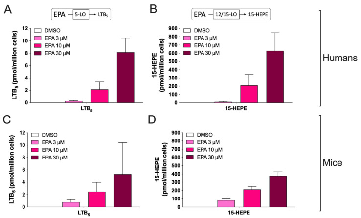 Biosynthesis of EPA-derived eicosanoids from human and mouse eosinophils. EOS suspensions (5 × 106 cells/mL, 37 °C) were incubated with DMSO or increasing concentrations of EPA for 15 min. Incubations were stopped by adding one volume of cold (−20 °C) MeOH containing the internal standards. Samples were then processed and analyzed for eicosanoids by LC-MS/MS as described in Materials and Methods. (A,B) Results are the mean (±SEM) of 6 independent experiments using human eosinophils from asthmatic donors. (C,D) Results are the mean (±SEM) of 7 independent experiments using bone marrow-derived mouse eosinophils.