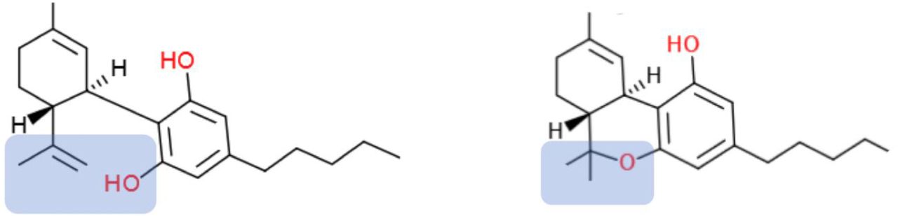 Chemical Structures of Cannabidiol (CBD) (left) and Tetrahydrocannabinol (THC) (right).The difference between the two structures is highlighted in blue background. The formation of pyran ring in THC removes the hydrogen from the hydroxyl group which is present in CBD and form a hydrogen bond in the channel-CBD complex.