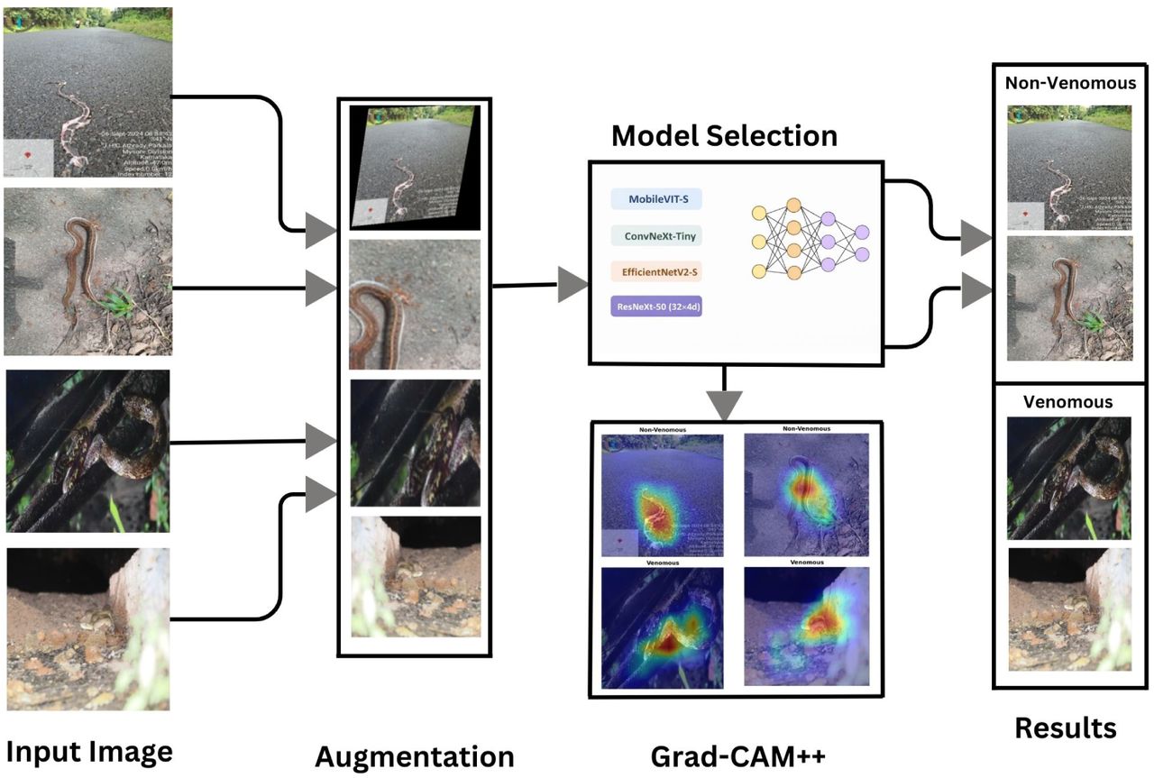 Deep learning framework for detecting Venomous class from Indian Snake images