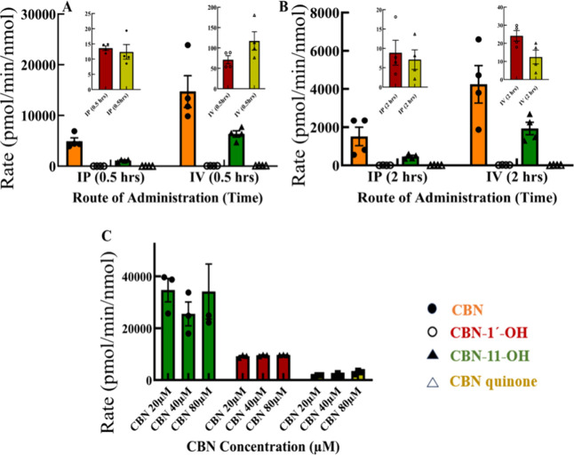 Quantitative targeted LC/MS analysis of CBN metabolism from mice plasma samples. The results show the CBN availability and the formation of CBN-11-OH as the primary metabolite from CBN-fed mice plasma samples after (A) 0.5 h and (B) 2 h of treatment through IP and IV routes of administration. The insets show the formation of the CBN-1′-OH and CBN-PQ (C) CBN is subjected to metabolism by human liver microsomes at three different concentrations and formation of CBN-11-OH (green), CBN-1′–OH (red) and CBN-Quinone (yellow).