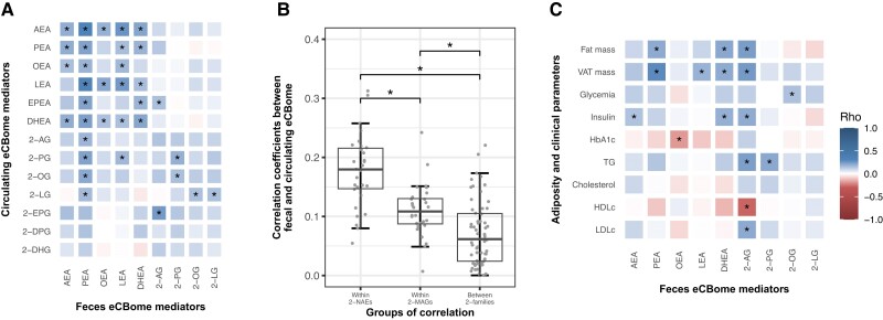 Fecal eCBome association with metabolic status and dietary intakes. (A) Heatmap representation of Pearson's correlation coefficients between circulating and feces eCBome mediators. (B) Boxplot of Pearson's correlation coefficient within NAE mediators and 2-MAG mediators or between NAEs and 2-MAGs in the feces and the circulation. (C) Heatmap representation of Spearman's correlation coefficients of fecal eCBome mediators with adiposity measures and biochemical parameters (n = 195). *Indicates significant correlations coefficient (P < .05).