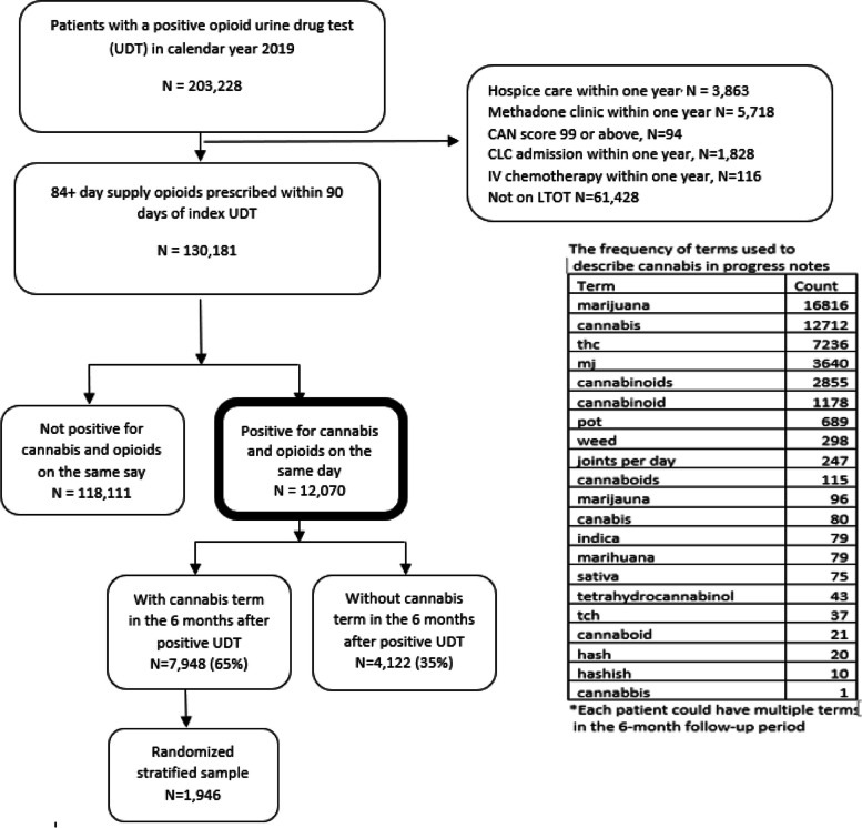 Proportion of Veterans on long-term opioids and cannabis in their urine drug test (UDT) that has a mention of cannabis use in their provider notes within the 6-month period after the index UDT