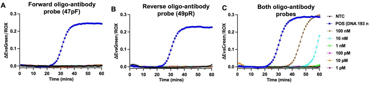 LAMP assays using oligo-antibody probes without HIV-1 p24 antigen.The ctxA LAMP assay using 47pF probes only (A), 49pR probes only, and (C) the combinations of both probes at various probe concentrations as shown.
