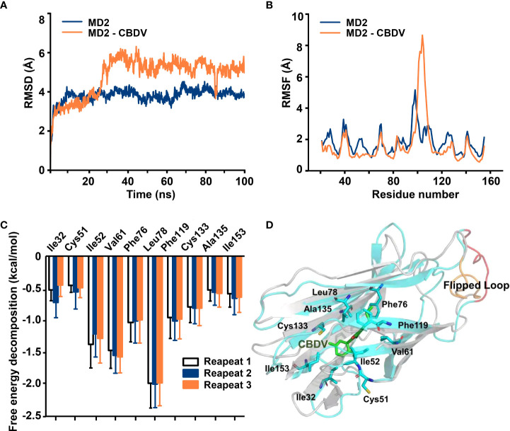 In silico simulation of CBDV interacting with MD2. (A) Time evolution of RMSDs for apo-MD2 and CBDV-bound MD2 (MD2-CBDV) during the MD simulations at 310 K. (B) Time evolution of RMSFs of MD2 and CBDV bound MD2 during the MD simulations at 310 K. (C) Per-residue energy decomposition for key residues. (D) The representative binding mode of CBDV with MD2 at 310 K after MD simulation. CBDV was shown as ball-stick model. MD2 in the MD2-CBDV system was shown as cartoon model (cyan) aligned to apo-MD2. Key residues of MD2 in interacting with ligands were shown as sticks. The flipped loops were labeled with orange and red in apo-MD2 and MD2-CBDV, respectively.