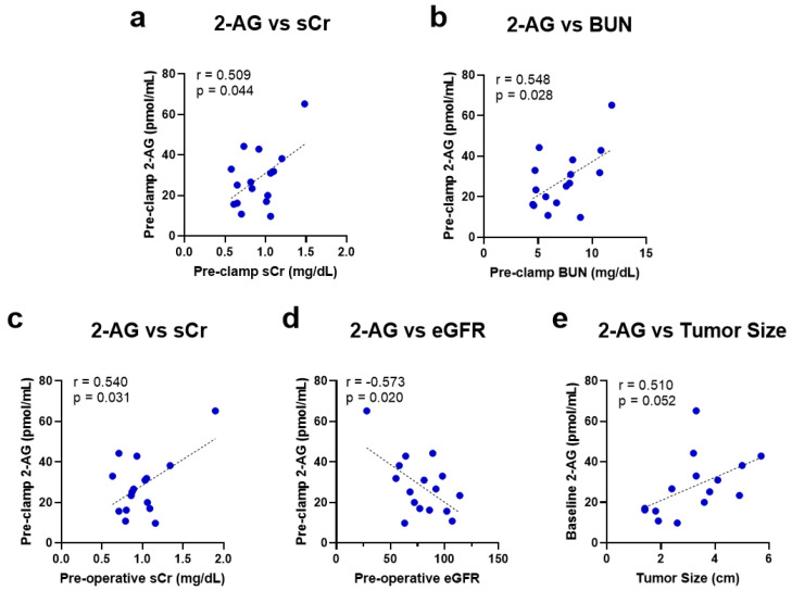 Univariate linear regression analysis and the Pearson correlation coefficient of baseline 2-AG levels with intra-operative pre-renal artery clamping levels of (a) sCr and (b) BUN and pre-operative levels of (c) sCr, (d) eGFR, and (e) tumor size. 2-AG = 2-arachidonoylglycerol; sCr = serum creatinine; BUN = blood urea nitrogen; eGFR = estimated glomerular filtration rate.