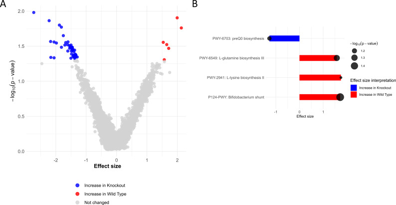Microbiome analysis reveals metabolic pathway differences between CB2RKO and WT mice. PreQ0 biosynthesis increases in knockout mice while Bifidobacterium shunt, L-glutamine, and L-lysine biosynthesis are enriched in wild type.