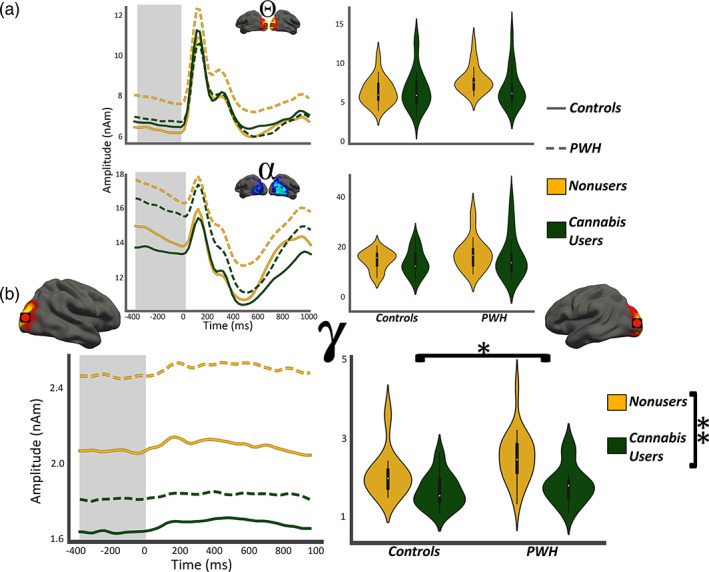 Gamma‐band neural activity was elevated in PWH and decreased in cannabis users. (Left column): Absolute amplitude time series from the same voxels shown in Figure 4 have been collapsed across hemisphere in each participant and group averaged for display. Line features indicate group and the gray highlighted area indicates the window of interest for computing neural activity during the baseline. Time (in ms) is denoted on the x‐axis, with 0 ms defined as the onset of the visual stimulus, and absolute amplitude (in nAm) is denoted on the y‐axis. The inset shows the location of the peak‐voxels. (Right column): The means of each group computed from the gray highlighted area in the left column per response. Participant group is denoted via both the x‐axis and hue. (a) Pre‐stimulus theta and alpha activity were not significantly affected by HIV or cannabis use, while (b) Pre‐stimulus gamma activity was affected by both. (*p < .05; **p < .001)