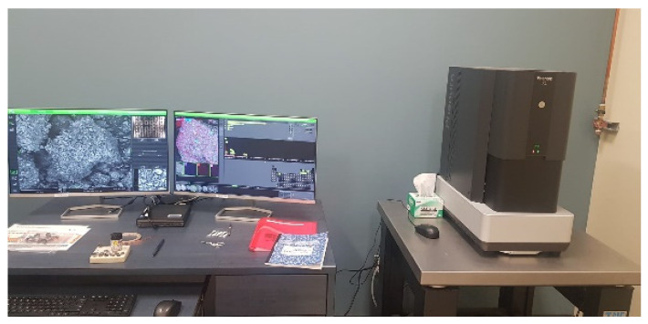 Scanning Electron Microscopy.