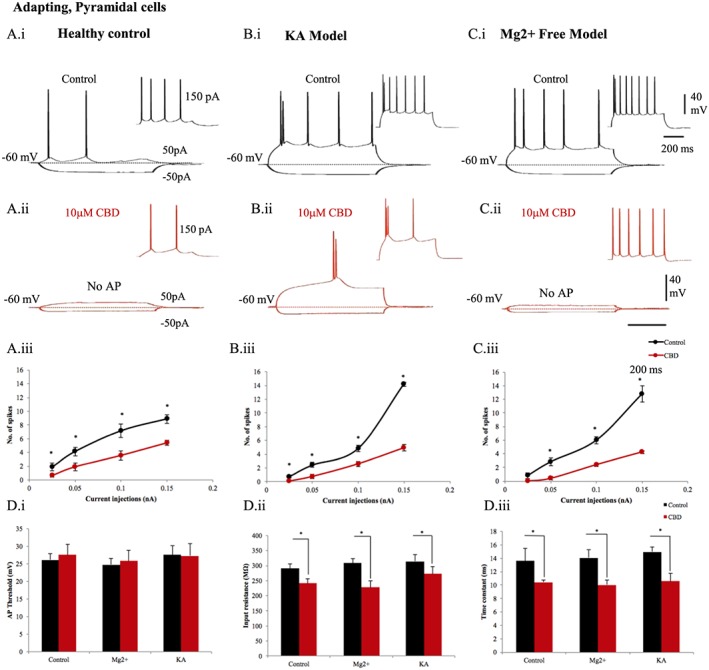 Pyramidal cell's hyperactive membrane properties are restored by CBD. The intrinsic membrane properties of pyramidal cells recorded in healthy rats in (A, panel i) control and (A, panel ii) after 10 μΜ CBD bath application. Similarly, pyramidal cells recorded brain slices in (B, panel i), (B, panel ii) Mg2+‐free and from (C, panel i), (C, panel ii) KA epileptic models. The input–output curves displayed a pseudo‐linear relationship between the number of spikes generated by pyramidal cells of (A, panel iii) healthy rodents (n = 13), (B.iii) Mg2+‐free (n = 5) and (C, panel iii) KA (n = 12) epileptic models with increasing current injections. The firing of pyramidal cells was decreased after application of CBD. (D) Bar plots representing intrinsic membrane properties of pyramidal cells in Mg2+‐free (n = 5) and KA epileptic models (n = 12) in comparison to healthy rodents (n = 13). (D, panel i) CBD produced no apparent changes of action potential (AP) threshold of pyramidal cells. (D, panel ii) The input resistance and (D, panel iii) time constant were decreased by CBD. Results are expressed as mean ± SEM. *P ≤ 0.05.