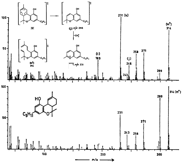 Mass spectra of delta-8-THC (top) and delta-9-THC (bottom) to show that only the delta-8 isomer undergoes the retro-Diels–Alder rearrangement (j) to form the fragment at m/z 246. Adapted with permission from refs (22) and (87). Copyright 1965 Elsevier and 1987 Wiley Periodicals, Inc., respectively.