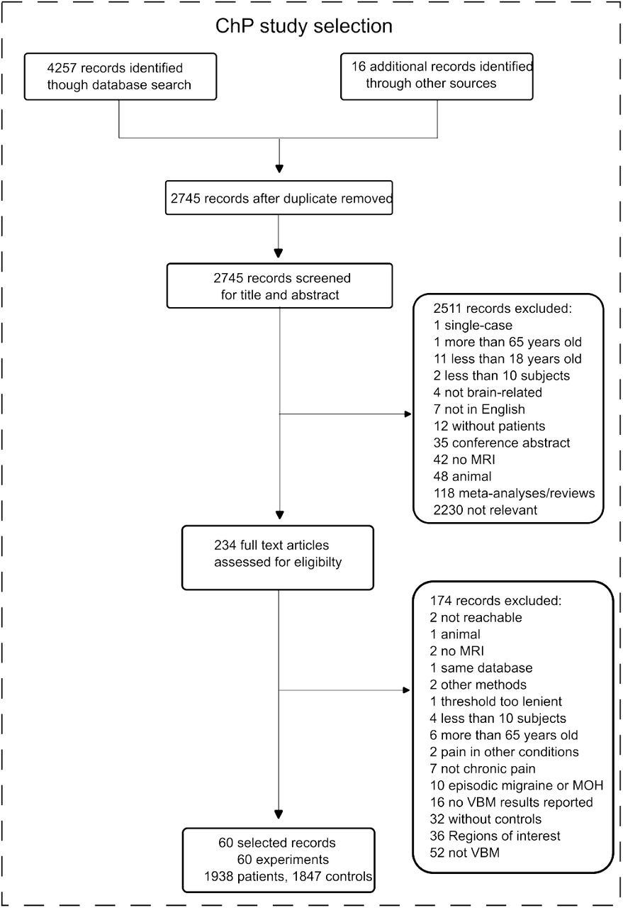 Flowchart of the screening process of the chronic pain (ChP) studies dataset according to the PRISMA guideline.