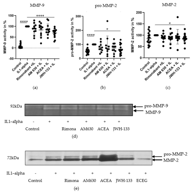Effect of rimonabant (Rimona), AM630, ACEA and JWH-133 on IL-1α-induced secretion of MMP-9 (a), proMMP-2 (b) and MMP-2 (c) in VSMCs, 48 h after treatment. The graphs represent the densitometric analysis (mean ± SD; n = 11). Statistical analysis performed with t-test with Welch’s correction, * p < 0.05; **** p < 0.0001. (d) MMP-9 activity, gelatin zymography, VSMCs, representative zymogram. (e) ProMMP-2, MMP-2 activity VSMCs, representative zymogram.
