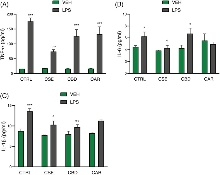 Effect of CSE, CBD, and CAR (1 μg/ml) treatment on TNF‐α (A), IL‐6 (B), and IL‐1β (C) release analyzed by ELISA assay in unstimulated and LPS‐stimulated BV‐2 cells (250 ng/ml). Each column represents mean ± SEM. Data were analyzed by one‐way analysis of variance followed by Tukey: *p < .05,***p < .001 versus CTRL group; °p < .05, °°p < .01 versus LPS (n = 6). CAR, β‐caryophyllene; CBD, cannabidiol; CSE, Cannabis sativa extract; LPS, lipopolysaccharide; SEM, standard error of the mean