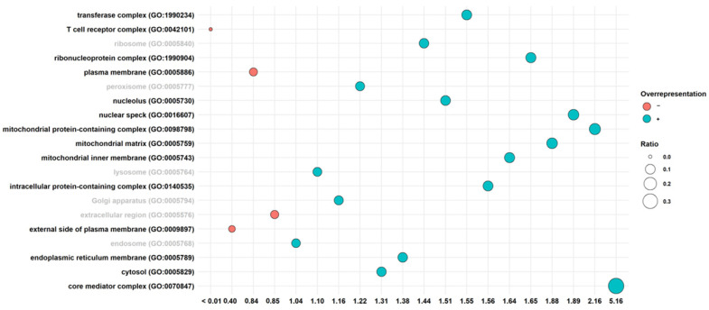 Overrepresentation analysis of cellular component terms in the Aβ vs. CBNR20-Aβ comparison. The score value on the x-axis stands for fold enrichment. The black label refers to ontology terms that were statistically significant. Conversely, the gray labels show the terms without any statistical significance. The color of the balls indicates a positive (blue) or a negative (orange) overrepresentation. The size of the balls is related to the ratio between the DEGs found in the ontology terms and the total genes included in the term itself. The terms are sorted alphabetically.