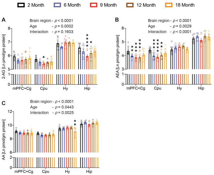 Age-related changes in the endocannabinoids. Brain 2-AG (A), AEA (B) and AA (C) levels were analyzed in medial prefrontal cortex including the cingulate cortex (mPFC+Cg), striatum (CPu), hypothalamus (Hy), and hippocampus (Hip) of 2-, 6-, 9-, 12- and 18-month-old mice. Both 2-AG and AEA levels were significantly altered in a brain region-specific manner across the age groups, whereas AA levels were only altered specifically in the hypothalamus of aged mice (n = 7–10 mice per age group). Data are represented as mean ± SEM, * p < 0.05; ** p < 0.01; *** p < 0.001; **** p < 0.0001; linear mixed model analysis followed by Dunnett’s multiple comparison test. p-values refer to pairwise tests against the 2-month-old group.