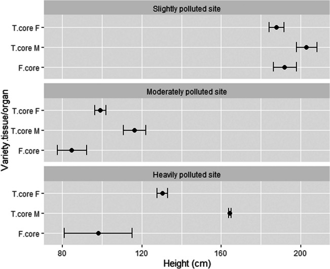 The height of the plants of two varieties at three testing locations. T, Tisza; F, Futura 75; F, female; M, male; n = 4