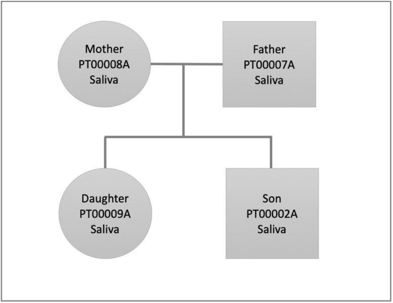 Family pedigree showing the relationship, gender (square: male, circle: female), and sample used for whole genome sequencing (saliva).