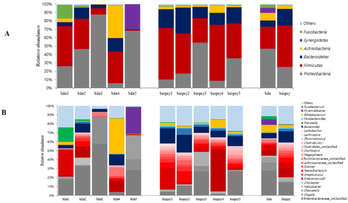 Microbiome compositions of duodenum tissue and bile fluid samples of five recurrent CBD stone patients. (A) Phylum level. (B) Genus level.