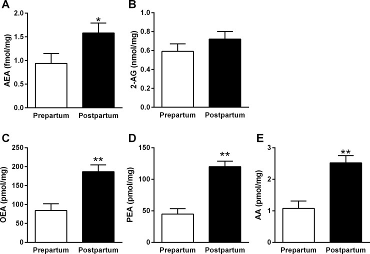 Levels of AT eCBs that differed pre- and PP in the AT of dairy cows.AT was sampled at 14 d prepartum (n = 10) and at 4 d PP (n = 10) for levels of AEA (A), 2-AG (B), OEA (C), PEA (D), and AA (E). Data represent the mean ± SEM.
