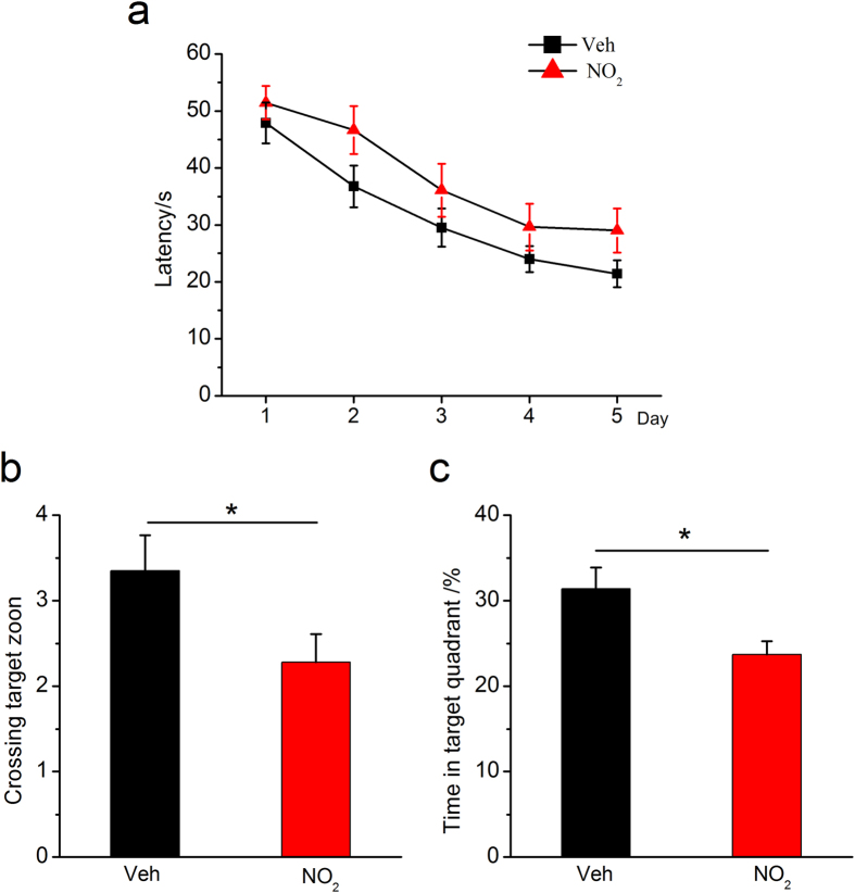 NO2 inhalation aggravates spatial learning and memory deterioration in APP/PS1 mice.(a) Learning curve for 5 days of invisible training to find the hidden platform in the Morris water maze. Retention memory was determined using a probe trial test conducted 24 h after 5 days of training. During the probe test, the platform was removed from the pool. (b) Number of times crossing the target zone. (c) Percentages of time stayed in the target quadrant. APP/PS1 mice were exposed to 5 mg/m3 NO2 for 5 h/day for 4 weeks, and Morris water maze was carried out. The submerged platform was located in the center of one quadrant of the pool. Mice received visible platform training for 3 days followed by 5 days of invisible platform training. Data were expressed as means ± SE (n = 12 to 14 mice/group), *P < 0.05 vs vehicle control (APP/PS1 mice exposed to room air). Veh = vehicle; NO2 = 5 mg/m3 NO2.