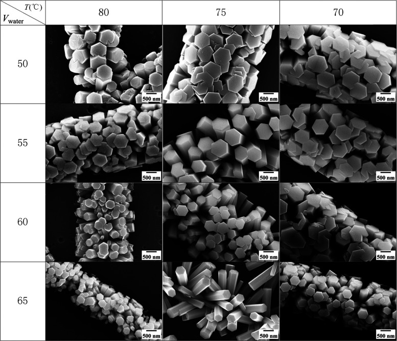 SEM images of barbed fibers in different chemical bath conditions.