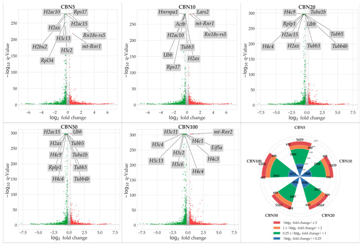 Volcano plots resulted from DEA analyses for each comparison. Upregulated DEGs are shown in red, downregulated DEGs are shown in green; not significantly dysregulated genes are portrayed in grey; and log2 fold change axes are set on −0.25 and +0.25, respectively. The top 10 significant DEGs are also reported in each volcano plot. Additionally, in the figure, we report a radial plot showing the number of significant DEGs for each comparison according to their dysregulation intensity (based on log2 fold change—lFC). Namely, from CBN5 vs. CTRL DEA, we found a total of 5659 DEGs, of which 2058 had a minimal perturbation (lFC < 0.25), 2409 showed low perturbation (0.25 ≤ lFC < 1), 580 showed moderate perturbation (1 ≤ lFC < 2), and 612 showed high perturbation (lFC > 2). From CBN10 vs. CTRL DEA, we found a total of 5439 DEGs, of which 1908 had a minimal perturbation (lFC < 0.25), 2334 showed low perturbation (0.25 ≤ lFC < 1), 596 showed moderate perturbation (1 ≤ lFC < 2), and 601 showed high perturbation (lFC > 2). From CBN20 vs. CTRL DEA, we found a total of 5569 DEGs, of which 1938 had a minimal perturbation (lFC < 0.25), 2432 showed low perturbation (0.25 ≤ lFC < 1), 640 showed moderate perturbation (1 ≤ lFC < 2), and 559 showed high perturbation (lFC > 2). From CBN50 vs. CTRL DEA we found a total of 5561 DEGs, of which 1812 had a minimal perturbation (lFC < 0.25), 2497 showed low perturbation (0.25 ≤ lFC < 1), 648 showed moderate perturbation (1 ≤ lFC < 2), and 604 showed high perturbation (lFC > 2). Finally, from CBN100 vs. CTRL DEA, we found a total of 6206 DEGs, of which 1873 had a minimal perturbation (lFC < 0.25), 2953 showed low perturbation (0.25 ≤ lFC < 1), 698 showed moderate perturbation (1 ≤ lFC < 2), and 682 showed high perturbation (lFC > 2).