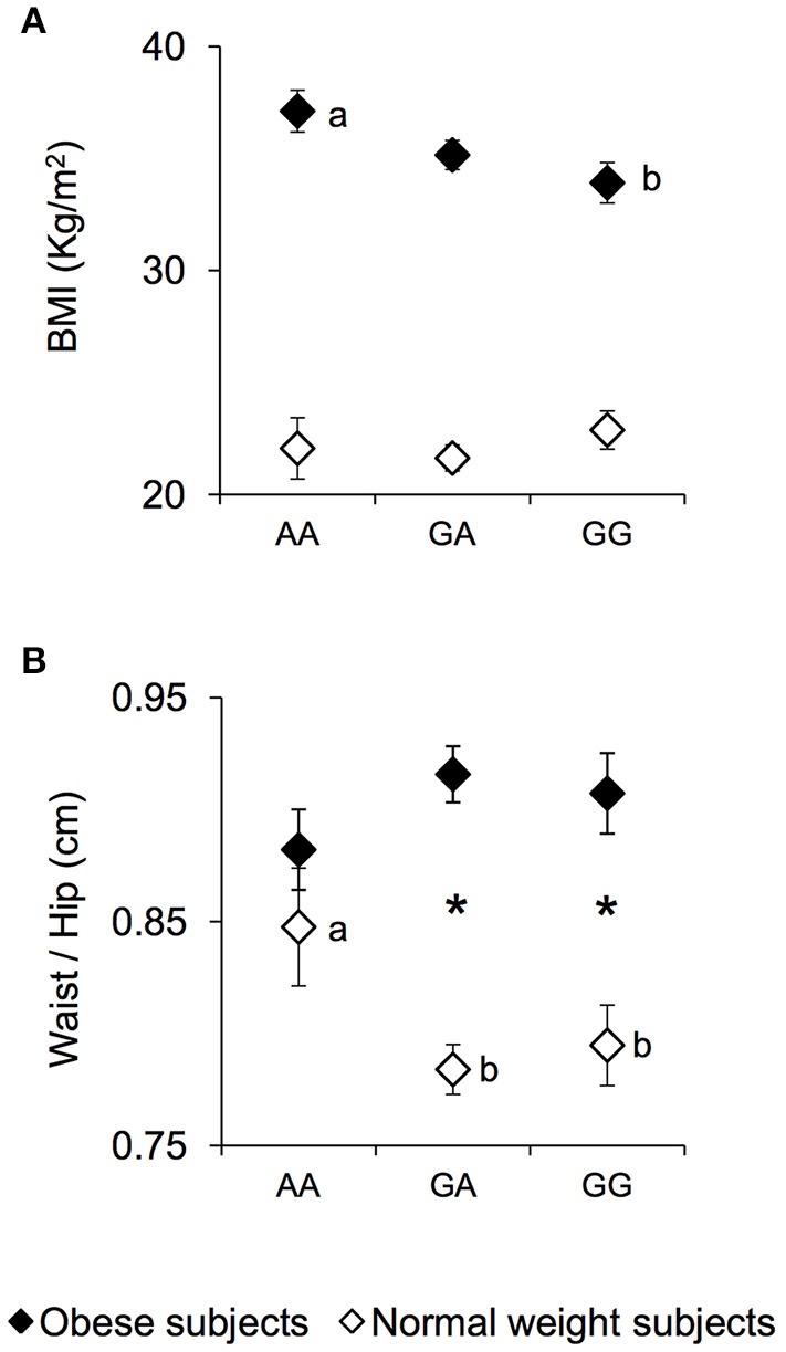 BMI and waist/hip ratio according to the rs1761667 (A/G) polymorphism of CD36 in normal weight and obese subjects. Mean values ± SEM of body mass index (BMI) (A) and the waist/hip ratio (B) of homozygous AA at the polymorphism of CD36 (N = 7), heterozygous (N = 39) and homozygous GG (N = 18) subjects with normal weight (NW) and homozygous AA (N = 15), heterozygous (N = 31) and homozygous GG (N = 16) subjects with obesity (OB). The different letters indicate significant differences (BMI: p < 0.0419; waist/hip ratio: p < 0.040; Duncan test subsequent two-way ANCOVA). *a significant difference between corresponding NW or OB subjects (waist/hip ratio: p < 0.000085; Duncan test subsequent two-way ANCOVA).