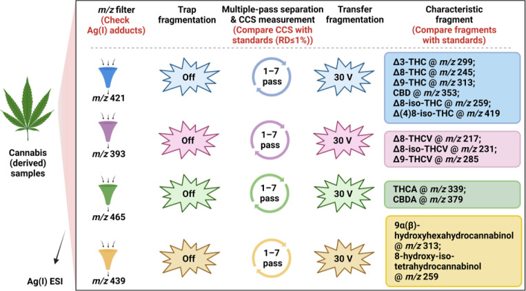 Qualitative identification workflow for cannabinoid isomers in a complex matrix.