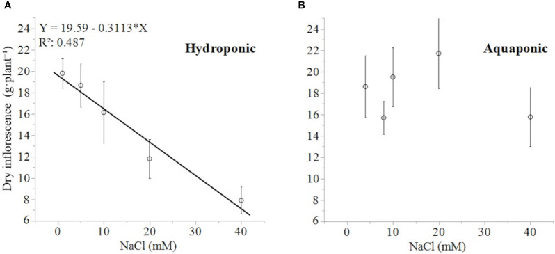 C. sativa dry inflorescence biomass (at a moisture content corrected to 13%) in response to increasing NaCl concentrations in hydroponic (A) and aquaponic (B) solution. Where markers are means with standard error mean bars (n = 6) and line is best fit regression relationship at P < 0.0001.