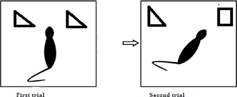 Schematic representation of memory performance