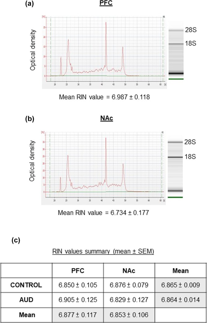 Total RNA integrity number (RIN) evaluation in the prefrontal cortex (PFC) of control (n = 18) and alcohol use disorder (AUD) subjects (n = 18). Representative electropherograms and gel images of the mean RIN value from PFC (a) and nucleus accumbens (NAc) (b) brain regions. (c) RIN values summary table, grey box contains the global mean value from all the studied samples.