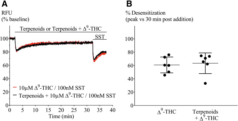 Terpenoids on Δ9-THC-mediated desensitization in AtT20-CB1. (A) Representative traces of hyperpolarization and signal desensitization mediated by Δ9-THC alone (10 μM, black) or with terpenoids (10 μM each, red). Cells were then challenged with SST (100 nM) after 30 min to examine heterologous desensitization. (B) Percentage desensitization after 30 min exposure to Δ9-THC alone (10 μM) or in the presence of terpenoids (10 μM each), compared with peak fluorescence response. Terpenoids did not affect Δ9-THC-mediated desensitization (n=5, SEM, unpaired t-test p=0.76). Drugs were added for the duration of the bar.
