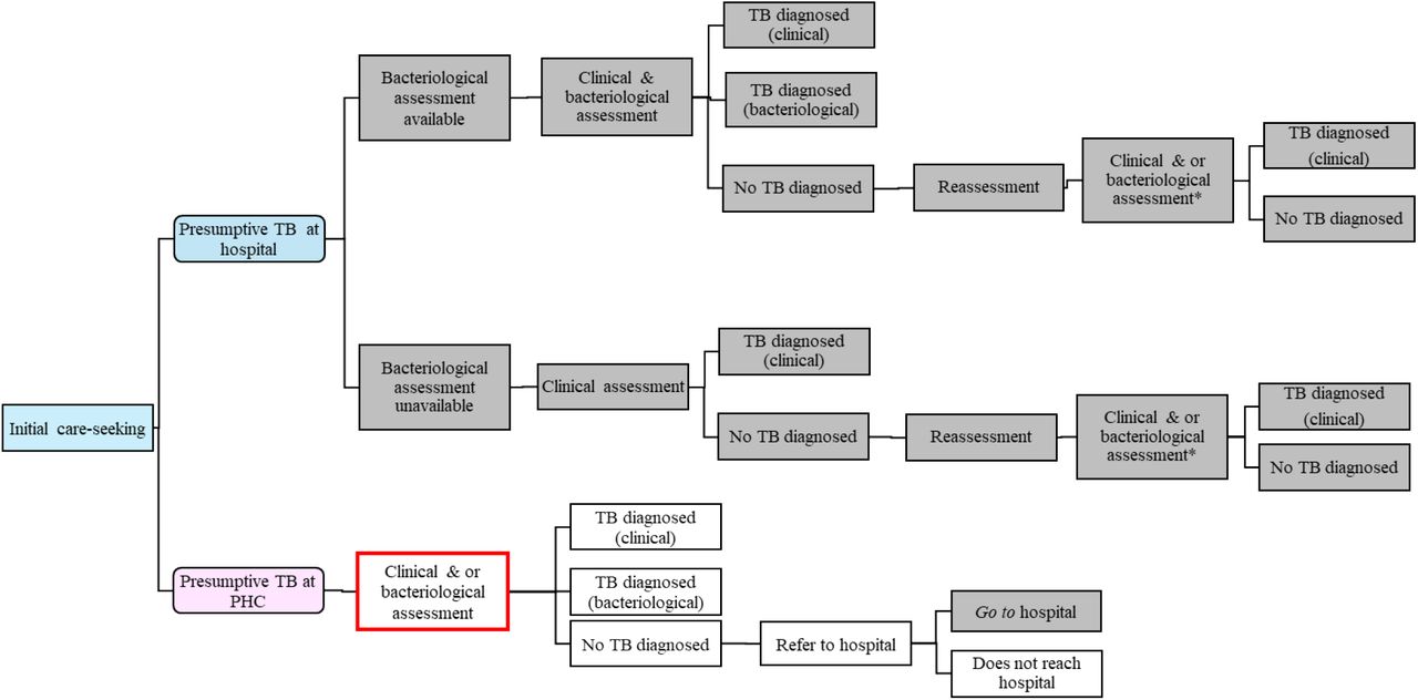 Simplified diagram showing the pathways of care for the management of children with symptoms suggestive of tuberculosis (presumptive TB). PHC=primary health centre, TB=tuberculosis. Boxes shaded in grey show activities undertaken at hospital level. Unshaded boxes show activities undertaken at PHC. The box with red outline shows where the stool-based TrueNat for bacteriological testing using the SOS method will be introduced under the intervention.