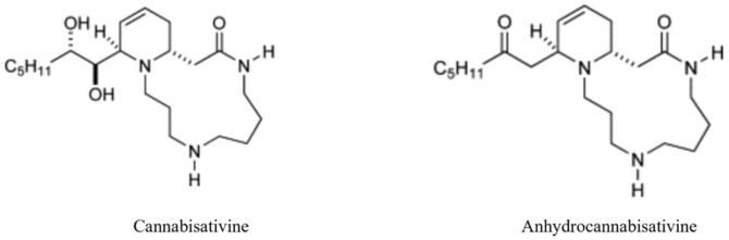 Alkaloids found in C. sativa.