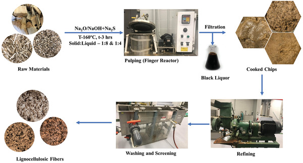 The pulping scheme for different feed stocks and subsequent processing of fibers.